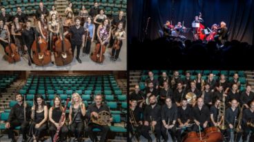 Los organismos estables municipales.