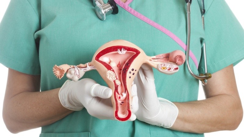 La prevención, la vacunación contra el Virus del Papiloma Humano (VPH) y la detección a tiempo son el tridente necesario para salvar vidas.