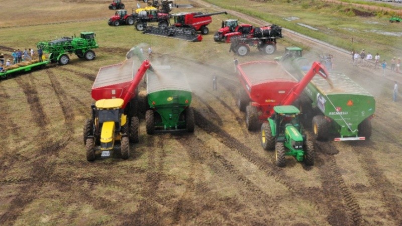 El Gobierno espera que un alza en el precio de la soja y producciones récord del agro permitan la consolidación fiscal en 2026.