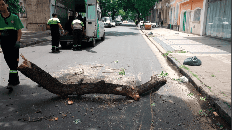La mayoría de los reclamos fue por la caída de árboles en la vía pública.