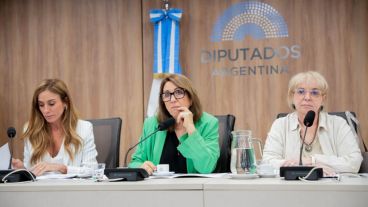 Las tres diputadas que presiden la comisión especial.