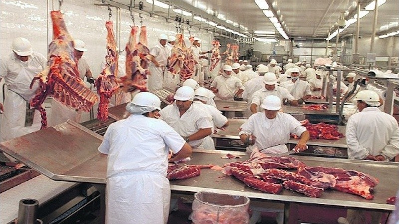 “Cuando empiece a sobrar hacienda en los campos, el precio va a tener que acomodarse”, remarcan desde la Cámara de Frigoríficos de Santa Fe.