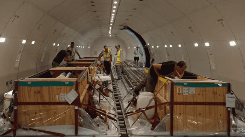 &nbsp;Así fue el viaje a Egipto de los 10 delfines que estaban en el Aquarium de Mar del Plata.