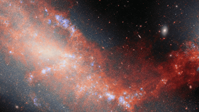 La nueva imagen del JWST muestra a las galaxias enanas NGC 4490 y NGC 4485