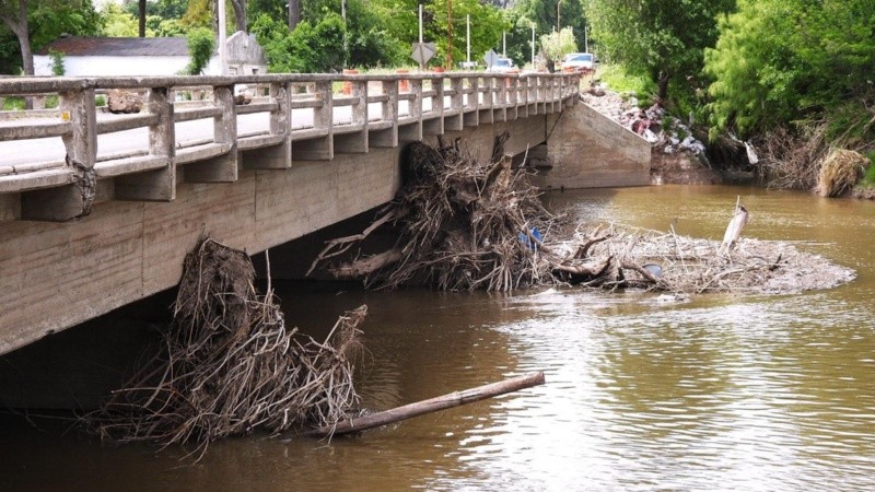  Parte de la estructura quedó tapada por ramas y basura