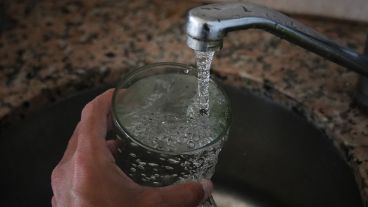 Se busca una salida a través de la investigación del Conicet.