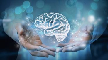 Por primera vez Argentina contará con un marco normativo específico que permitirá unificar criterios de formación y abordaje de salud mental en todas las jurisdicciones del país.