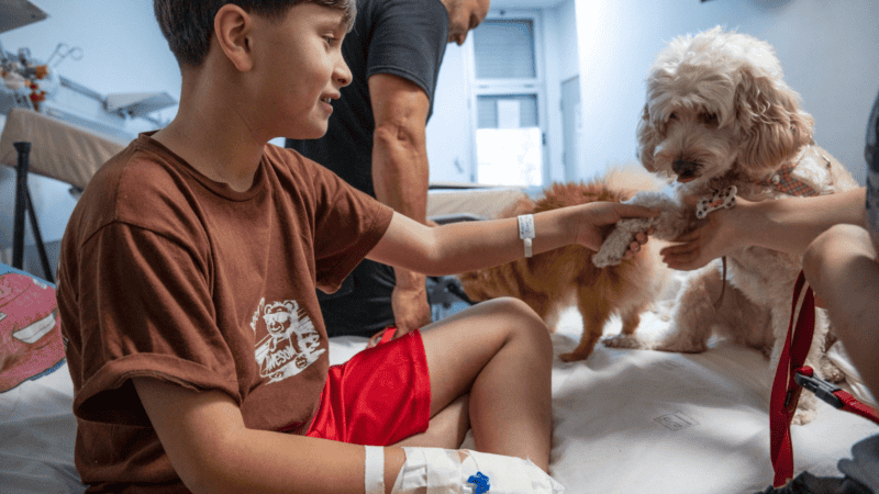 La prueba piloto en el Hospital Vilela dura seis meses.