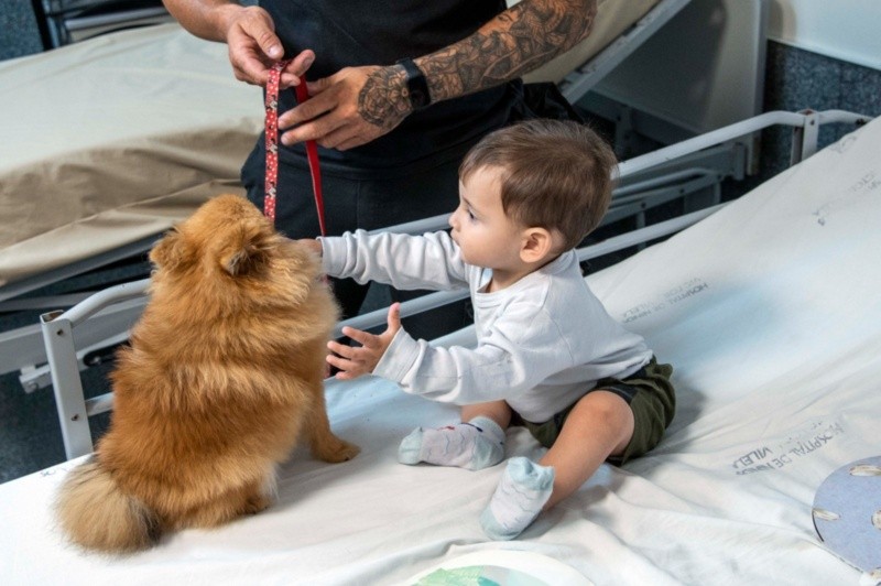 La prueba piloto en el Hospital Vilela dura seis meses. 