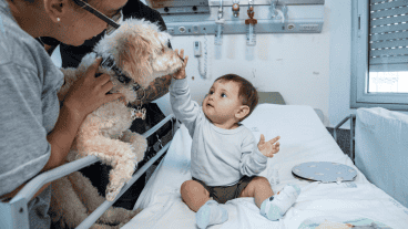 La prueba piloto en el Hospital Vilela dura seis meses.