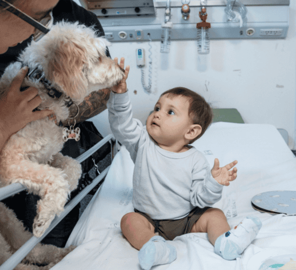 La prueba piloto en el Hospital Vilela dura seis meses.