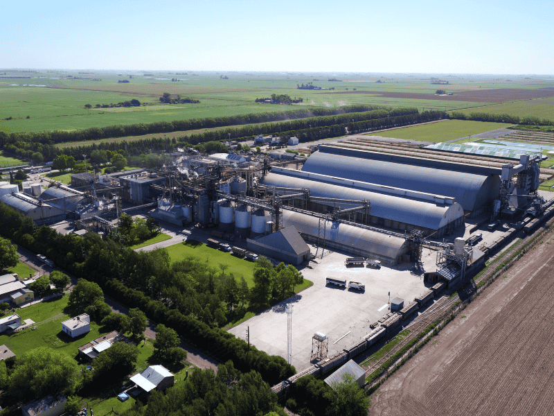 Aceitera Chabás cumple 50 años y lo celebra