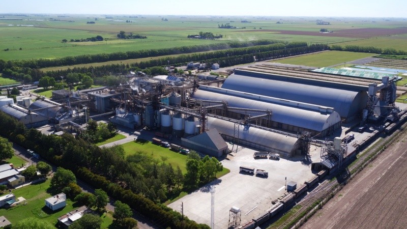 Aceitera Chabás cumple 50 años