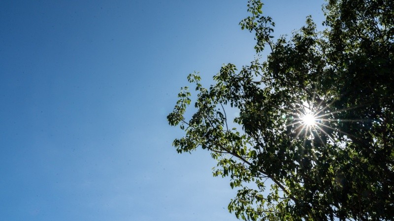 Sombra fresca para un martes de primavera.