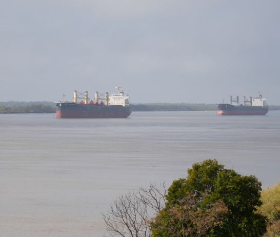 El río Paraná desde la ribera rosarina.