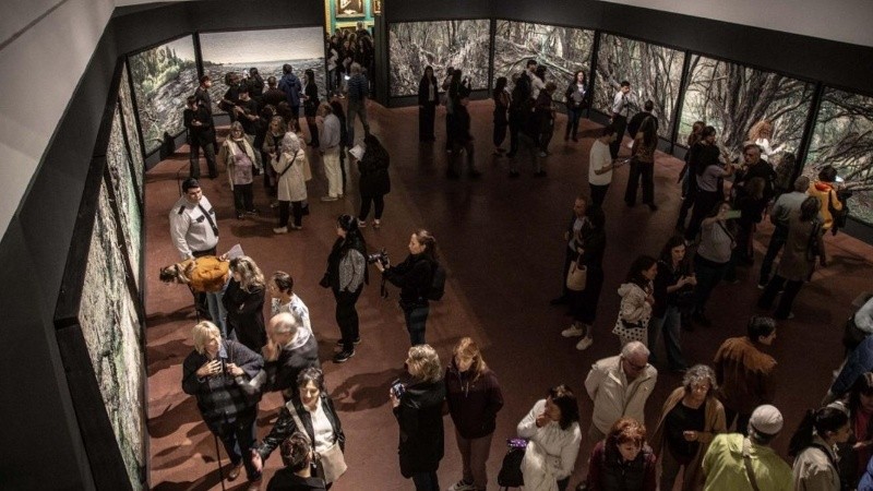 Imagen de la muestra 