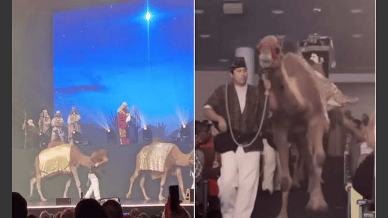 La mujer fue llevada al hospital y luego fue dada de alta.