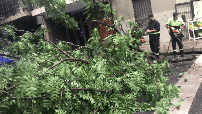 Cuadrillas de Protección Civil trabajan en los distintos puntos afectados.