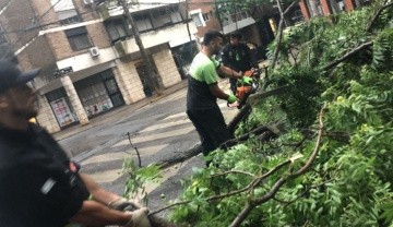 Los equipos de Protección Civil trabajan para normalizar las zonas afectadas.