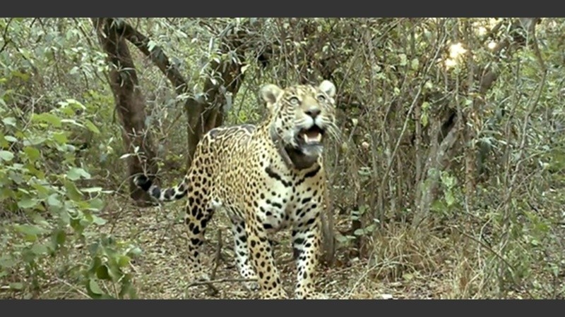 ni una sola persona aportó datos, a pesar de la recompensa millonaria