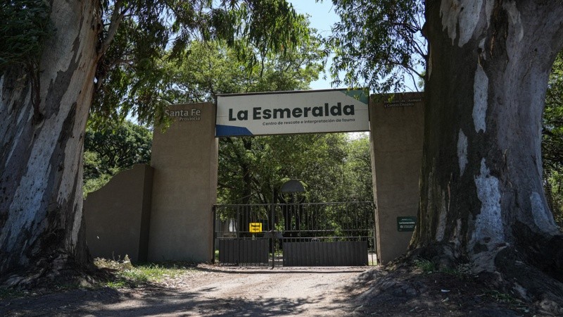 El Ministerio de Ambiente de Santa Fe reinsertó en su hábitat a más de 520 animales silvestres este 2025.