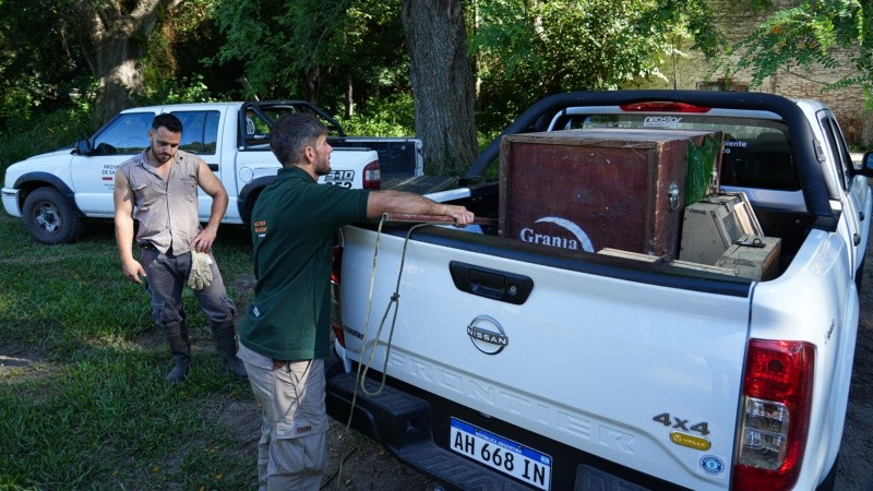 Los ejemplares fueron llevados en camioneta desde el centro de rescate La Esmeralda de la ciudad Santa Fe.