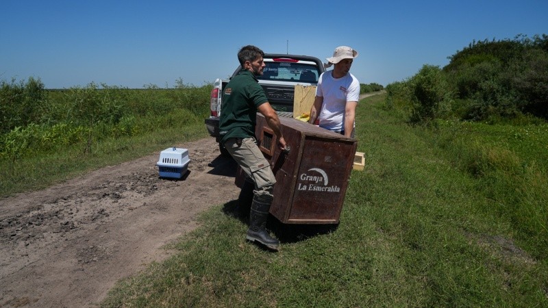 &nbsp;Alan Monzón/Rosario3