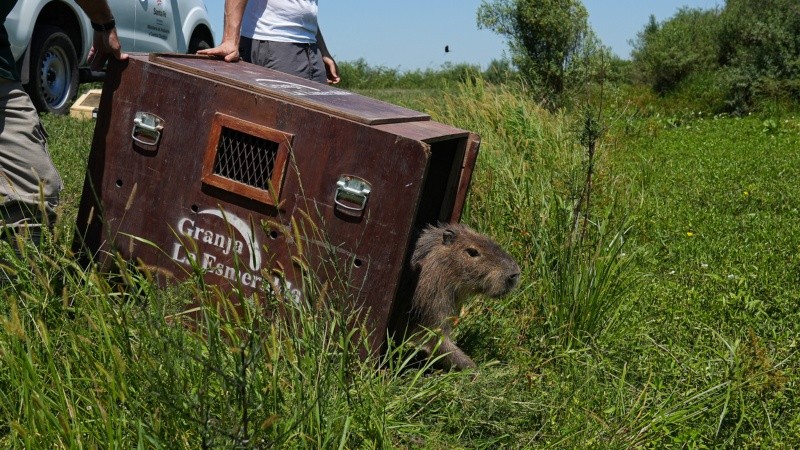 Alan Monzón/Rosario3