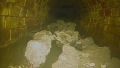 Un pedazo del fatberg de 100 toneladas hallado en las cloacas de Londres.