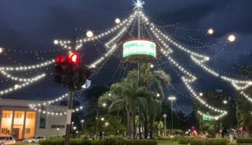 El árbol de Rosario bajo la tormenta este miércoles a la noche.