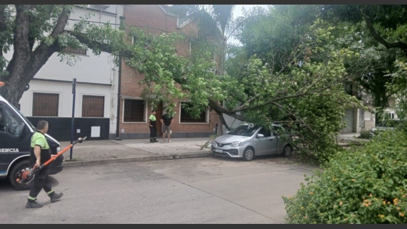 Personal municipal está trabajando tras las consecuencias de la tormenta.