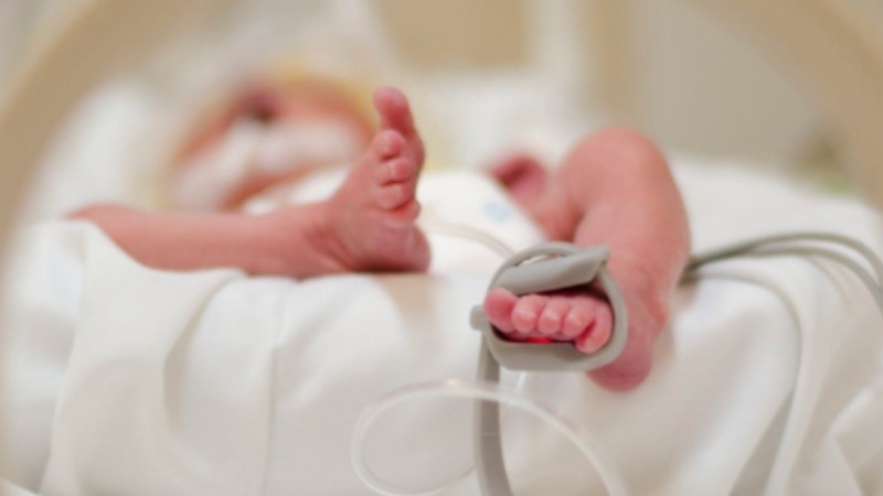 El nacimiento se registró el jueves pasado.