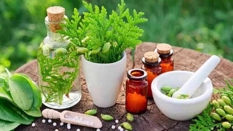 Millones de personas a nivel global recurren a prácticas tradicionales, indígenas, complementarias e integrativas para la promoción de la salud, la prevención de enfermedades y la atención materna, neonatal, mental y comunitaria.