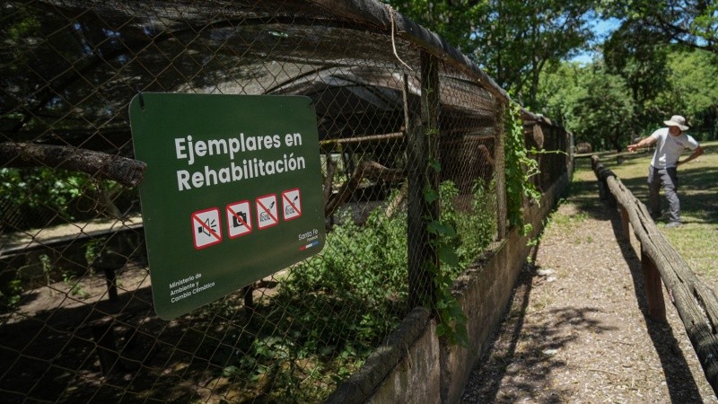 La rehabilitación se hace en espacios de cuarentenas internas y externas.