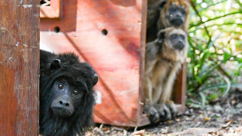 &nbsp;Ambiente de Santa Fe