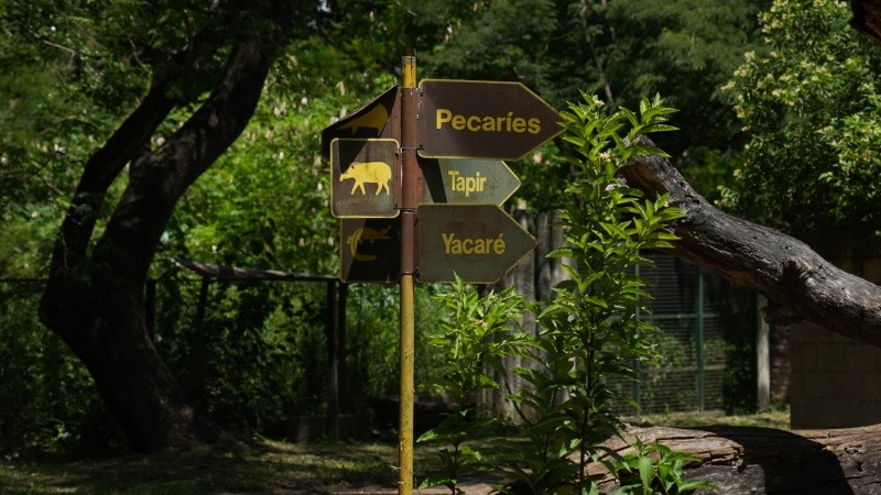 Además de hospital, La Esmeralda será un espacio de educación ambiental cuando reabra al público.