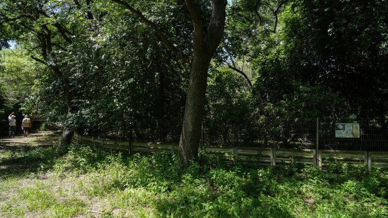 La población del centro de rescate y recuperación cambia porque “todo el tiempo recibimos animales