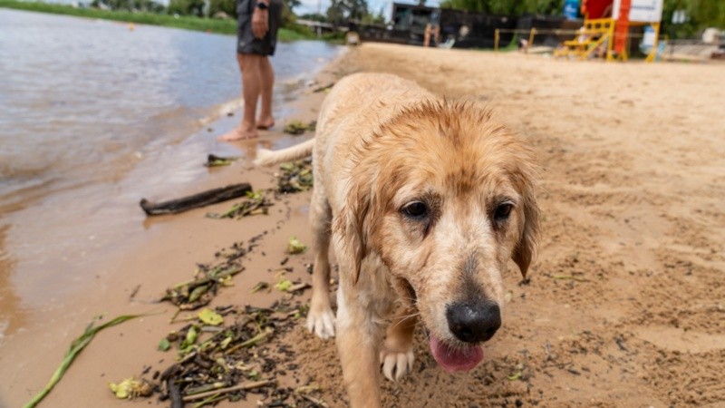 El calor no da tregua.