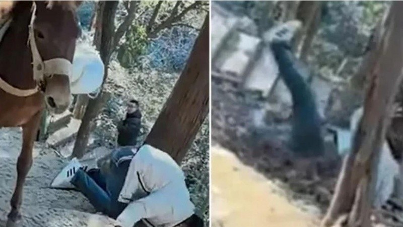 Aunque la mula no hace contacto directo con el hombre, sus bolsas de carga lo golpean.