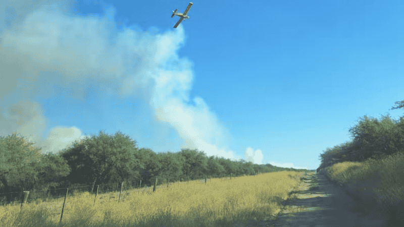 &nbsp;Más de una veintena de asociaciones de bomberos voluntarios participaron.