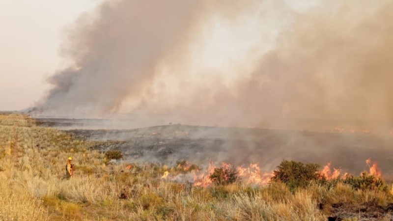 Los incendios forestales no dan tregua en la provincia de La Pampa.