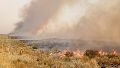 Los incendios forestales no dan tregua en la provincia de La Pampa.