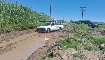 Uno de los autores del robo cayó tras abandonar la camioneta robada.