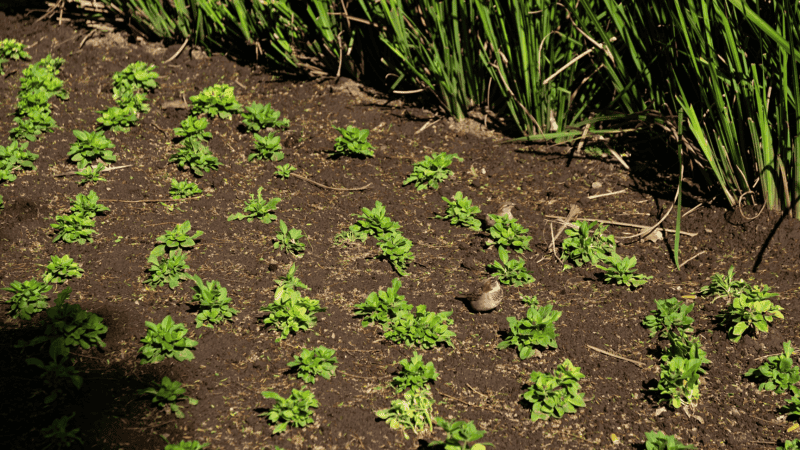 &nbsp;Los talleres son gratuitos y tienen cupos limitados: la inscripción se realizará el lunes 5 de enero.