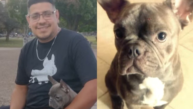 Robaron a Bingo, la mascota de la familia del taxista asesinado Diego Celentano