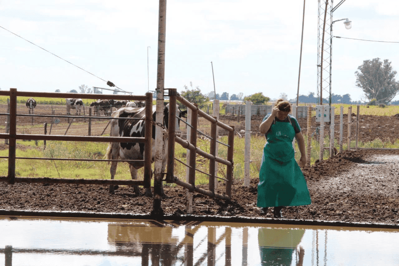 La Provincia avanza en la implementación de buenas prácticas productivas.