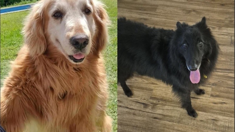 Meithy y Aurora fallecieron tras escapar de la pirotecnia.