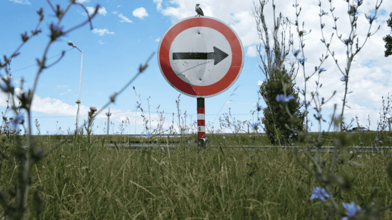 &nbsp;Algunos sectores de Circunvalación siguen con grandes pastizales en la banquina. (Foto: Alan Monzón / Rosario3)