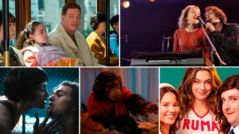 Familia en renta; Song Sung Blue: un sueño inquebrantable; El beso de la mujer araña; Primate; Volver a los 17.