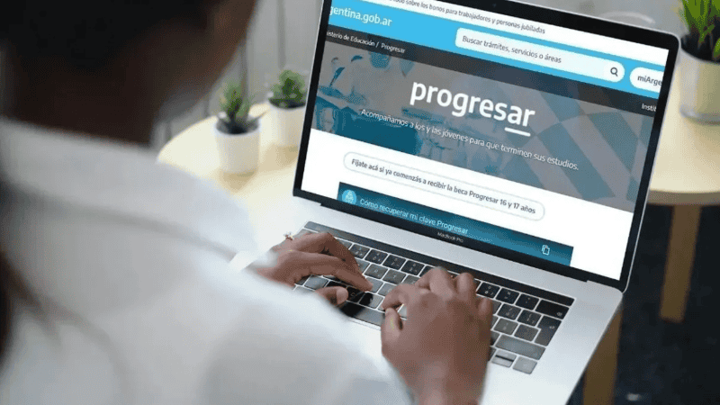 Los estudiantes pueden consultar el estado de pago desde Mi Anses.